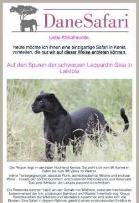 DaneSafari newsletter screenshot