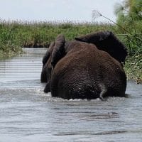 Botswana
