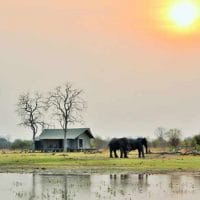 Nogatsaa Tent with Elephants