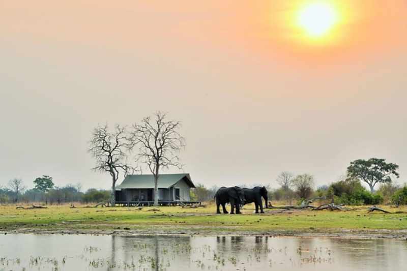 Nogatsaa Tent with Elephants