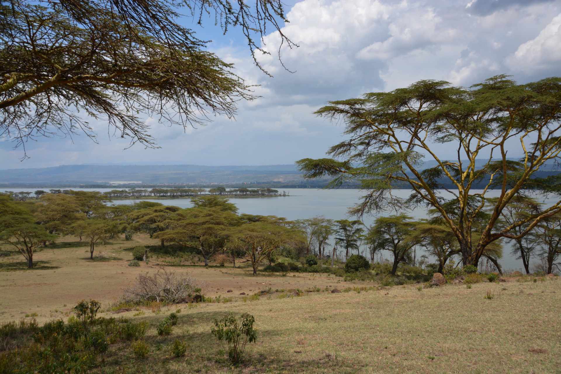 Lake Naivasha