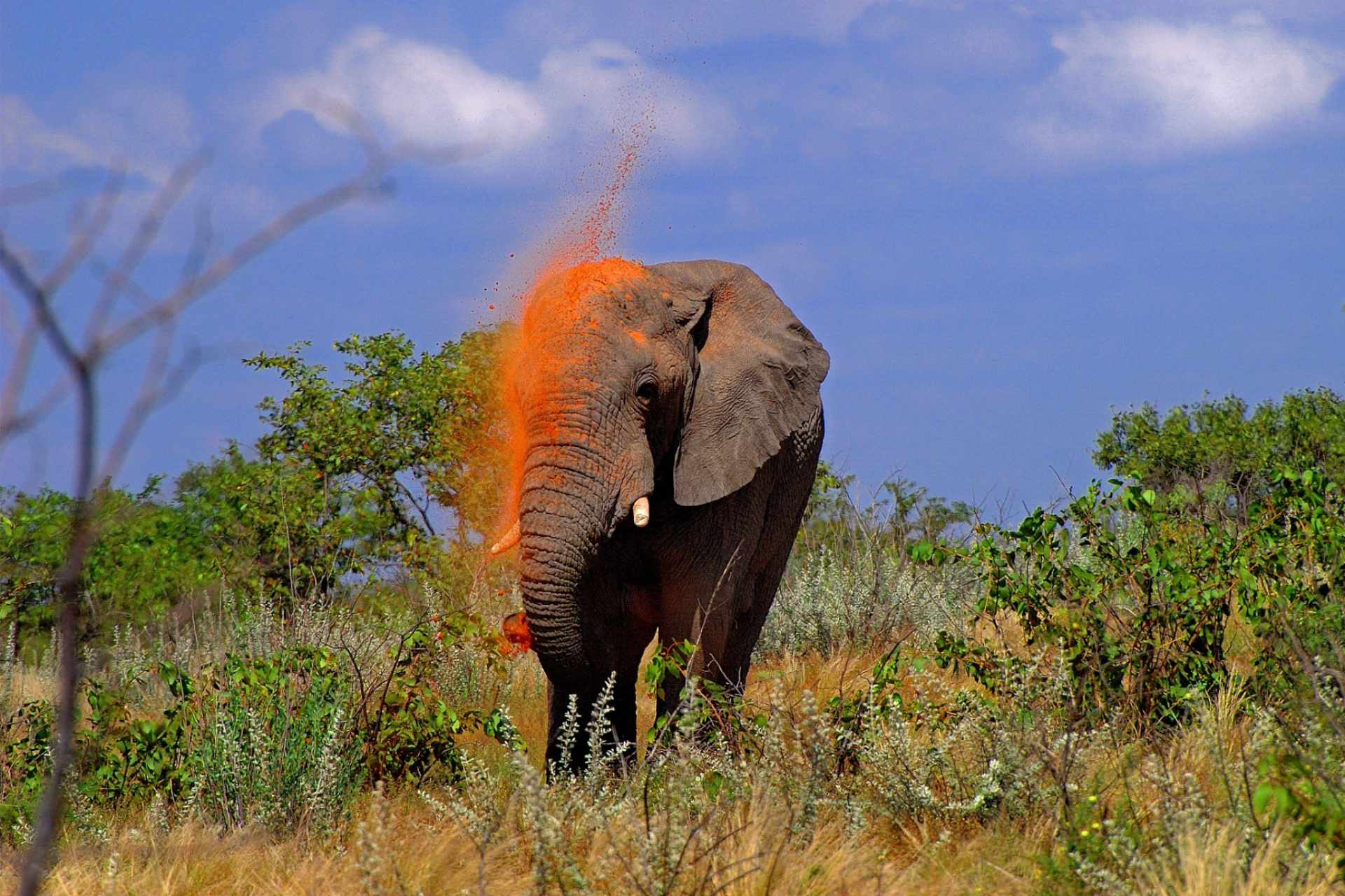 Tsavo Nationalpark