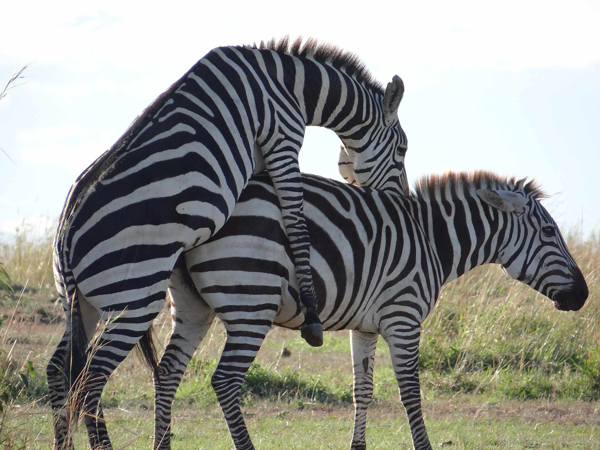 Tsavo Nationalpark