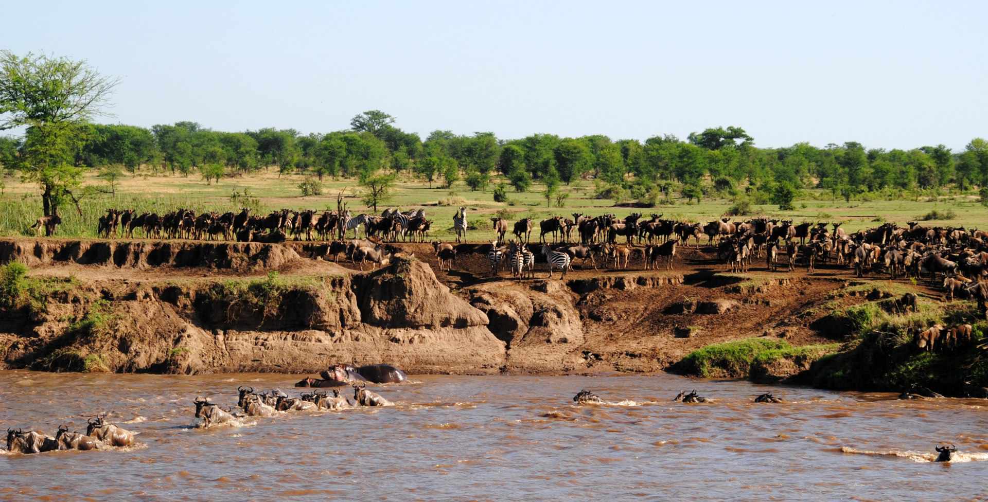 Masai Mara