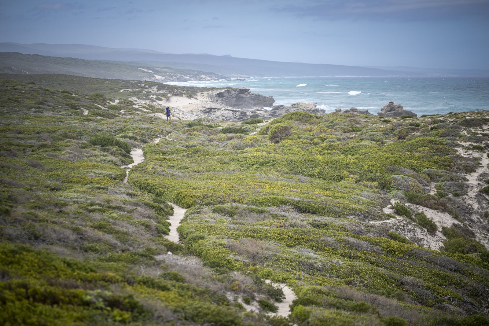 De Hoope Nature Reserve