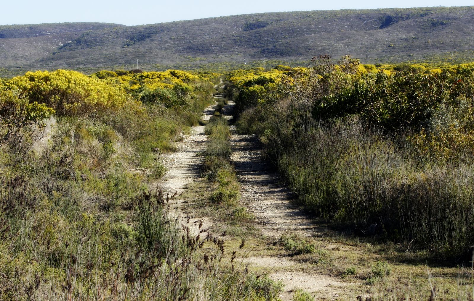 De Hoope Nature Reserve