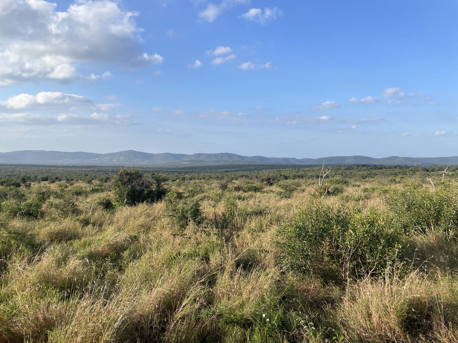 Thanda Game Reserve