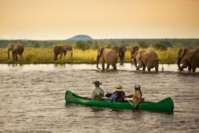 Elephant Crossing Safari Bushcamp_2
