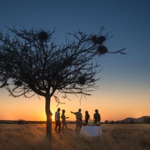 Sundowner