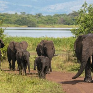 Akagera Game Lodge