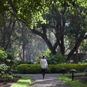 Arusha Coffee Lodge