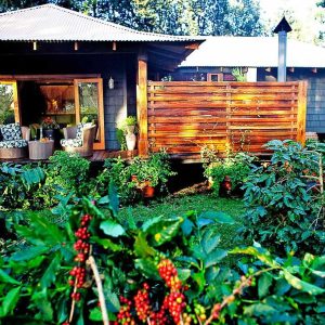 Arusha Coffee Lodge