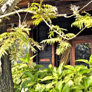 Arusha Coffee Lodge