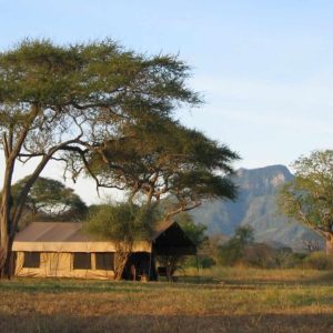 Babu's Camp