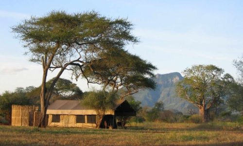 Babu's Camp