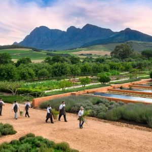 Babylonstoren