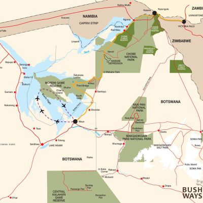 Bushways Buffalo Safari