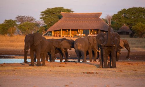 Camp Hwange