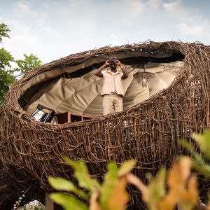 Chisa Safari Camp Nest