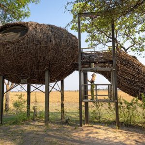 Chisa Safari Camp