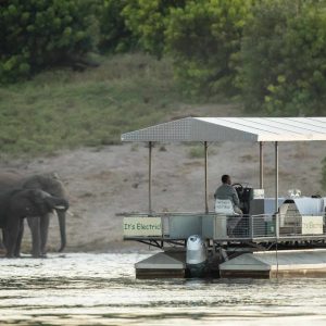 Chobe Game Lodge