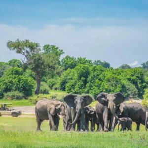Chobe Safari Lodge Pirschfahrt