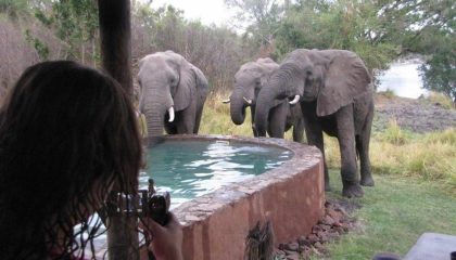 Livingstone & Kafue Nationalpark, Chundukwa River Lodge