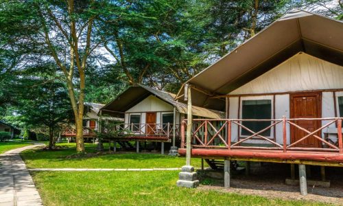 Crescent Camp