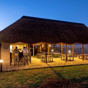 Desert Camp Bar