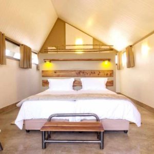 Desert Quiver Camp
