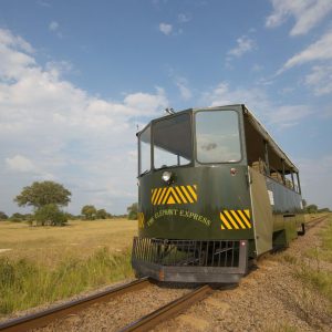 Elephant Express