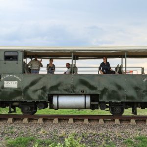 Elephant Express