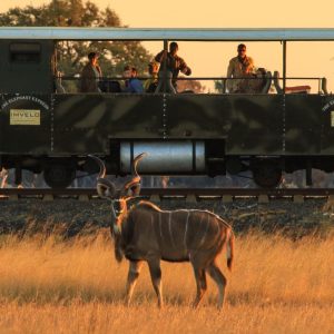 Elephant Express