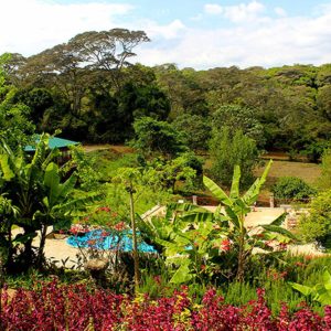 Endoro Lodge