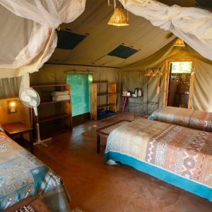 Flatdogs Camp
