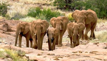 Namibias Norden und Caprivi Streifen, schöne Grootberg Lodge