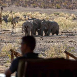 Hobatere Lodge