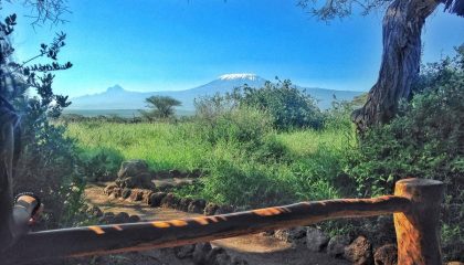 Kleingruppenreise durch Kenia & Tansania, Kilimanjaro vom Amboseli NP