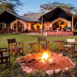 Instinct Mara Camp