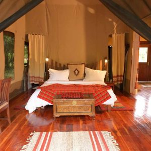 Instinct Mara Camp