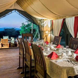 Instinct Mara Camp