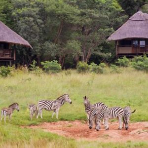 Ivory Lodge