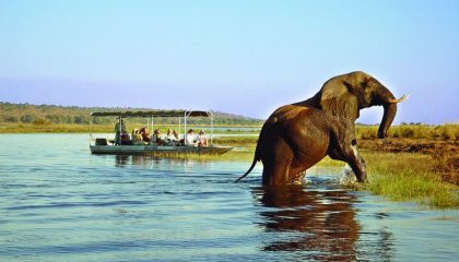 Kleingruppensafari durch Botswana und Zimbabwe, Bootsfahrt auf dem Chobe Fluss