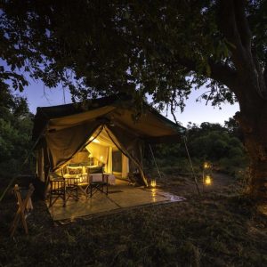 John's Camp