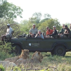 Kambaku Safari Lodge auf Pirschfahrt