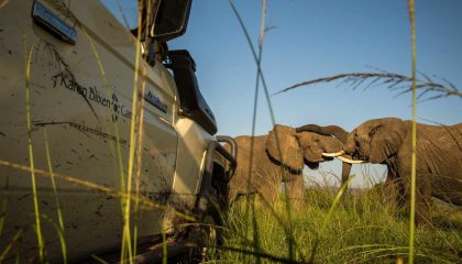 Intensive Masai Mara Safari, Karen Blixen Camp