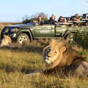 Kariega Game Reserve, Ukhozi Lodge