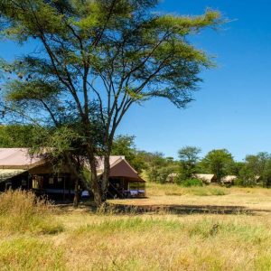 Kati Kati Camp