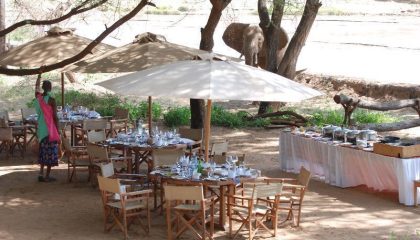 Flugsafari in Kenia, Elephant Bedroom, Samburu
