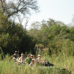 Kubu Safari Lodge8